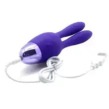 DREAM BUNNY ES UN ESTIMULADOR CLITORIAL Y DE PUNTO G, TIENE 10 MODOS DE VIBRACIÓN, ELABORADO EN SILICONA MÉDICA, APRUEBA DE SALPICADURAS, RECARGABLE POR MEDIO DE CABLE CON PLUG (INCLUYE EL CABLE). COLOR: MORADO